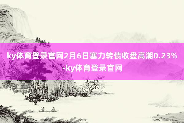 ky体育登录官网2月6日塞力转债收盘高潮0.23%-ky体育登录官网